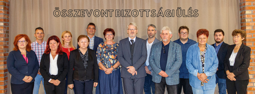 bizottsági ülés