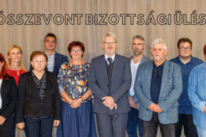 bizottságok